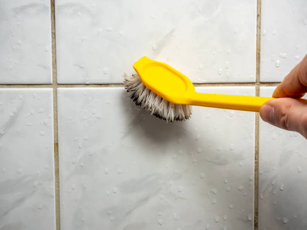 Best Commercial Mold Remediation in Columbus Af, MS